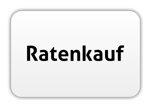 Zahlung per Paypal Ratenzahlung